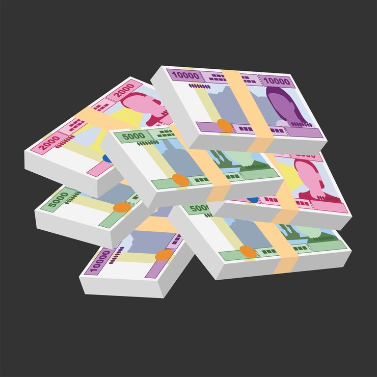 Cfa Franc Beac Vector Illustratie Centraal-Afrikaanse Frank geld set bundel bankbiljetten Papiergeld
