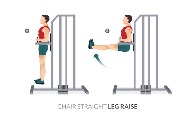 Vector chair straight leg raise, men gym workout fitness, aerobic and exercises.