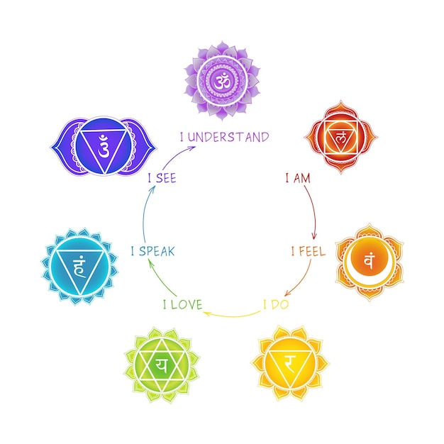 Vector chakra's betekenis poster met mandala symbolen op witte achtergrond voor ontwerp geassocieerd met yoga