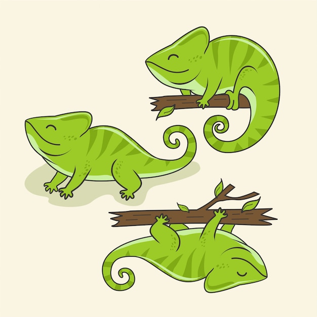 Chameleon cartoon cute animals