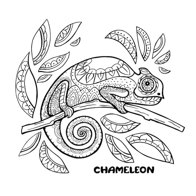 Chameleon coloring book  illustration. Anti-stress coloring pages. Black and white lines.