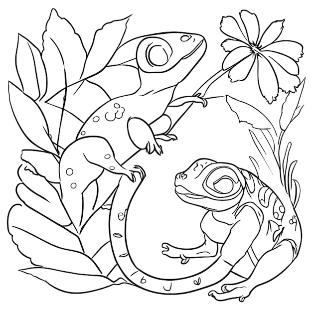 chameleond and lizards coloring pages color the chameleon worksheet educationcom opens a new tab