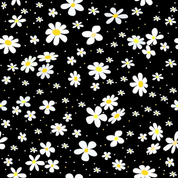 Vector chamomile on black