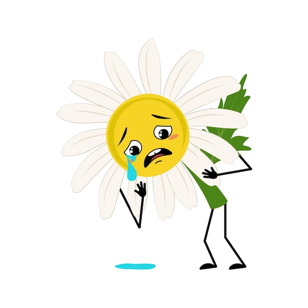 Chamomile character with crying and tears emotion sad face depressive eyes arms and legs Person with melancholy expression daisy flower Vector flat illustration