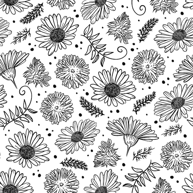 CHAMOMILE AND DANDELION Monochrome Floral Sketch   Seamless Pattern