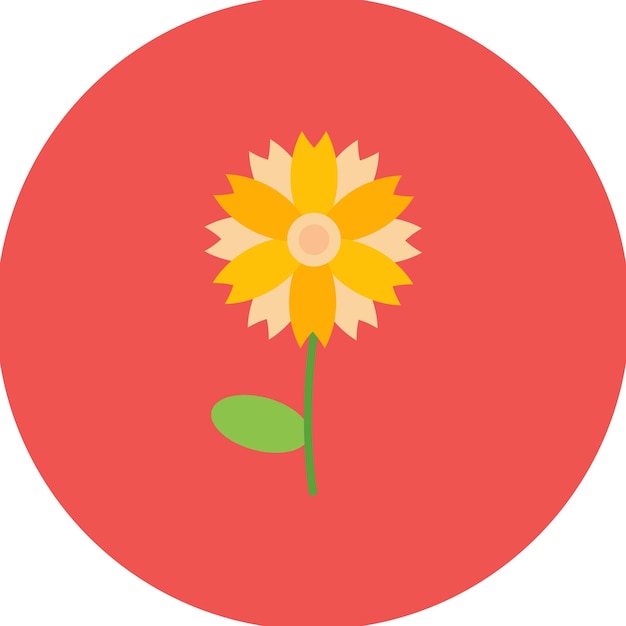 Vector chamomile flat illustration