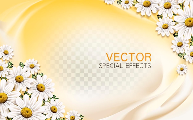 Chamomile flower background