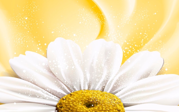 Vector chamomile flower element