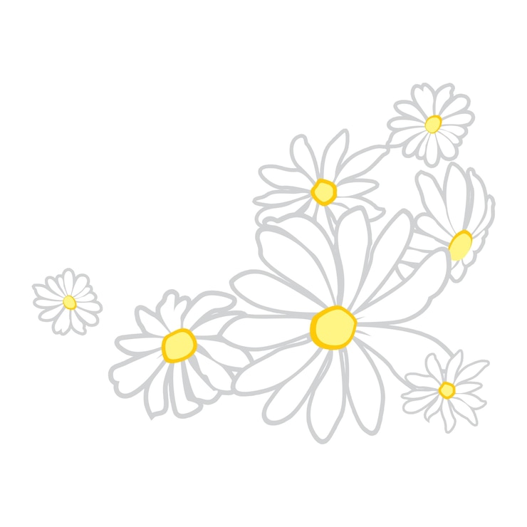Vector chamomile flower vector illustration creative design