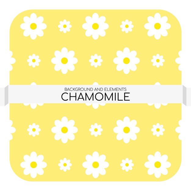 Vector chamomile flowers
white flowers
pattern
background