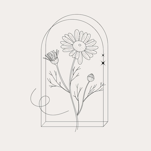 Vector chamomile for the logo trendy botanical elements