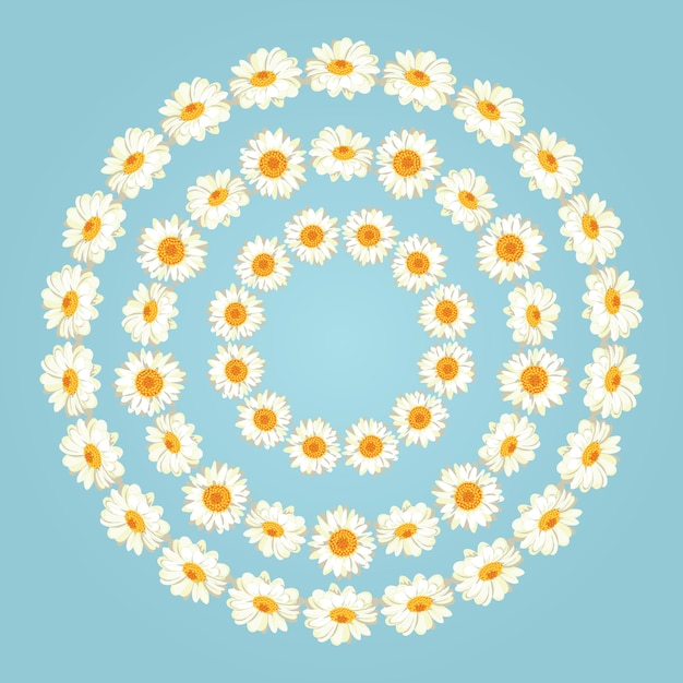 Vector chamomile patterns on vintage blue background