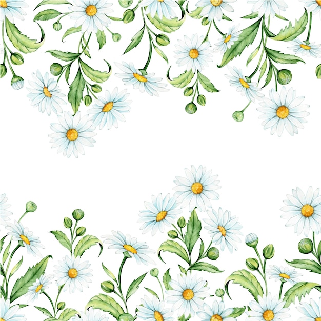 카모마일, 완벽 한 패턴입니다. 꽃과 잎, 수채화 그리기.