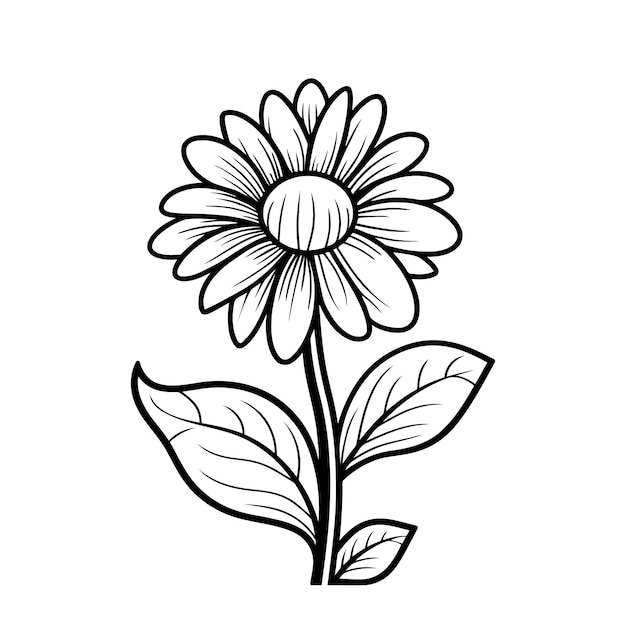 Chamomile silhouette with leaves Isolated flower image Vector illustration