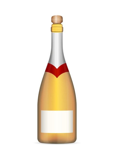 Champagne bottiglia