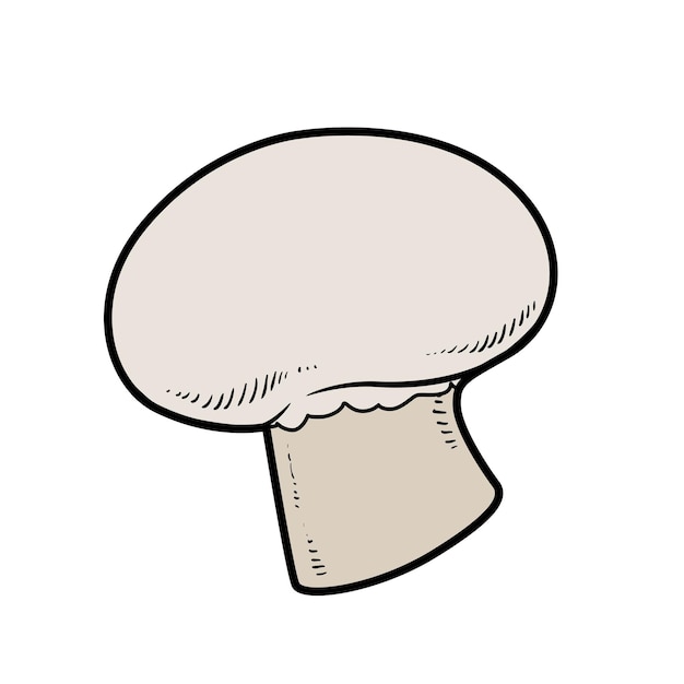 Champignon champignon kleurvariatie voor kleurplaat geïsoleerd op witte achtergrond