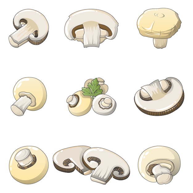 Vector champignon mushroom icons set