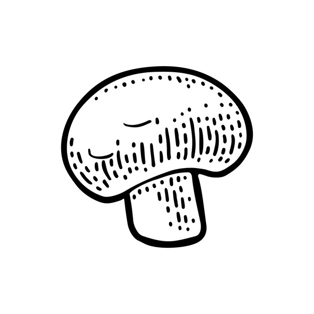 Vector champignon vintage monochrome vector engraving illustration