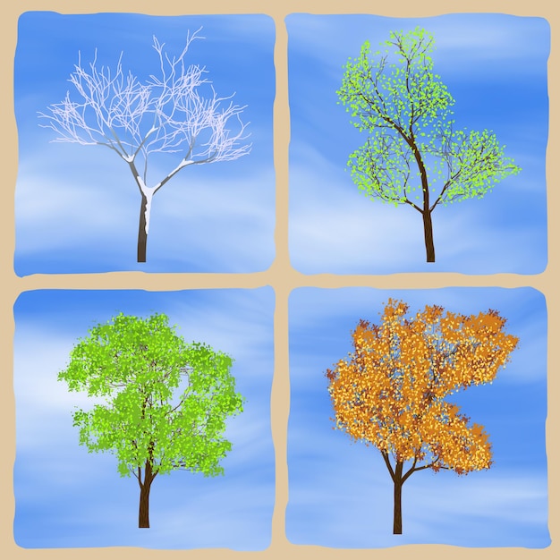 Vector change of seasons trees according to 4 seasons