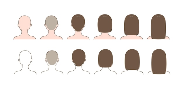 Vector changes in hair length_bald head short mediummiddle long hair_back