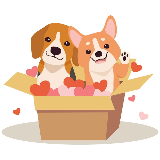 Un personaggio di carino beagle e corgi con scatola e cuore in stile vettoriale piatto illustrazione sull'animale domestico