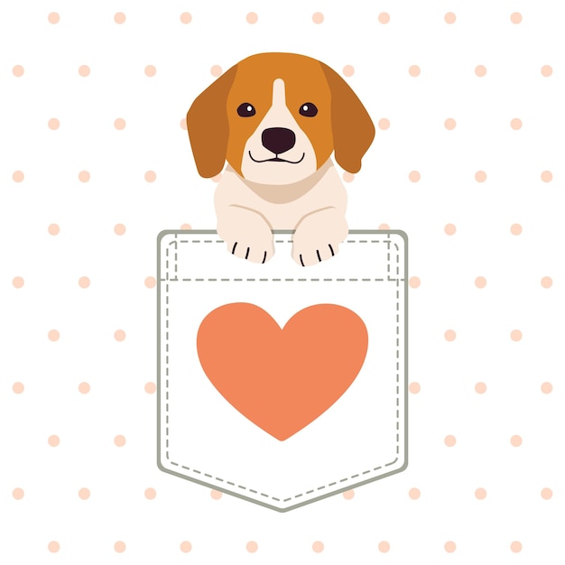 The character of cute beagle dog in the pocket of the shirt in flat vector style