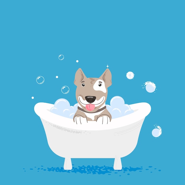 Character a dog with soap bubbles in the bathroom.