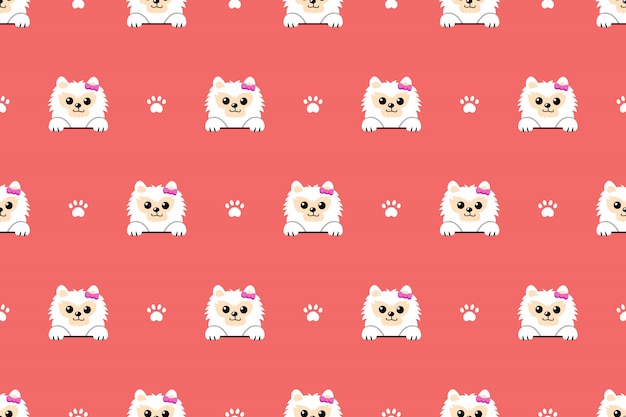 Fondo senza cuciture del modello del cane pomeranian bianco del carattere