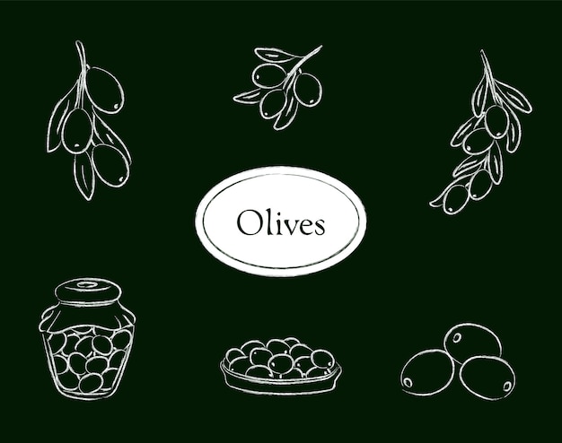 Charcoal style olive set isolated on a green background vector illustration of fruit olive branch