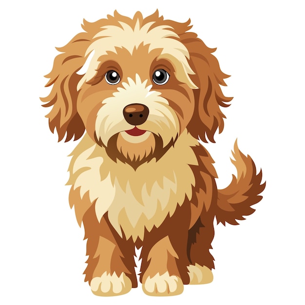 Charmante Australische labradoodle met pluizige vacht en grote ogen illustratie