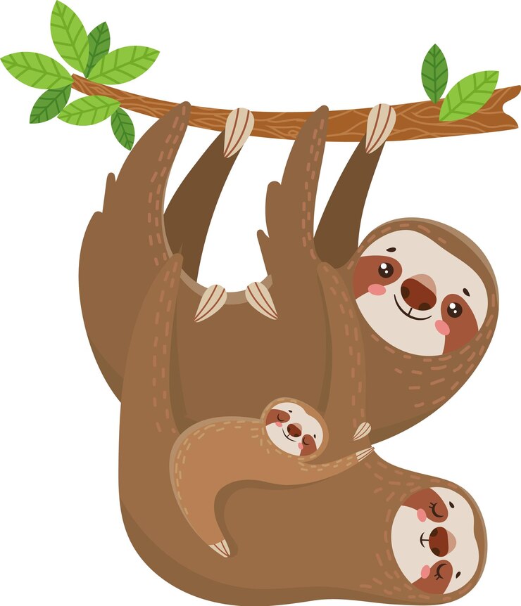 Vector charming illustration depicts a family of sloths hanging upside down from a tree branch showcasing the tranquil beauty of wildlife in their natural habitat