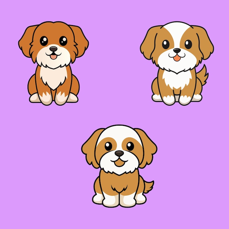 Vector charming isolated vector illustrations of cava tzu dogs sitting