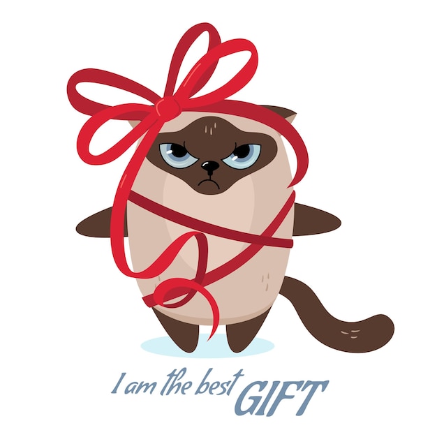 Vector charming siamese cat is the best gift