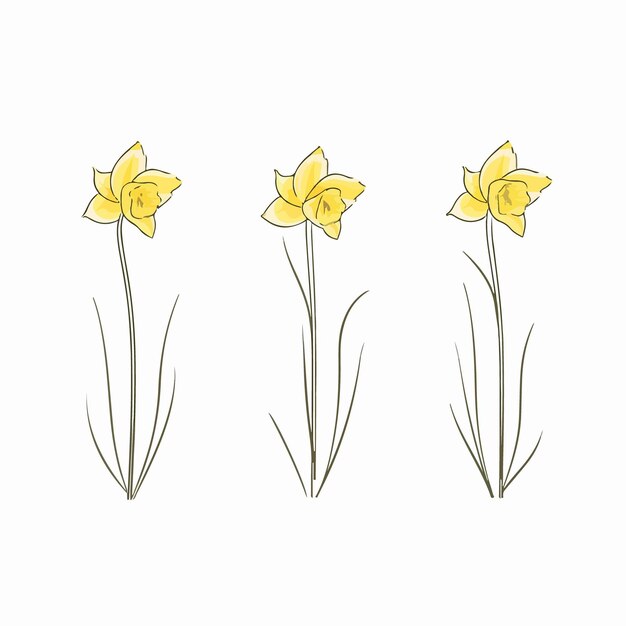 Vector charming vector illustration of a daffodil blossom