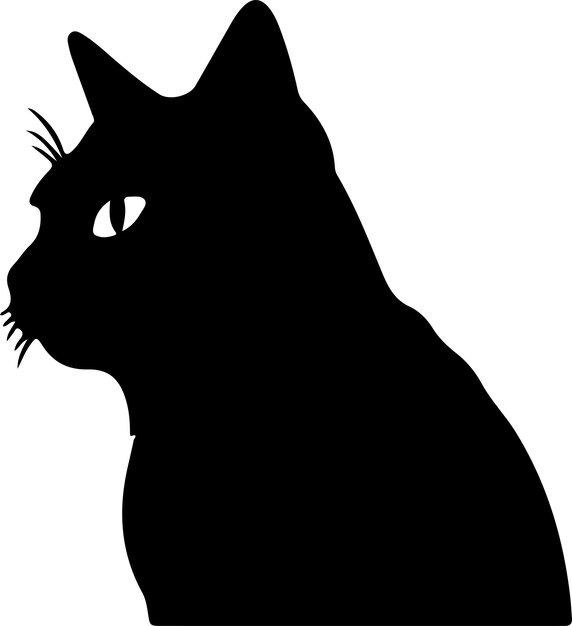 Chartreux Cat black silhouette with transparent background