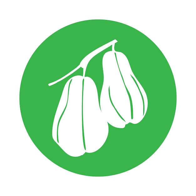 Chayote fruit icon vector