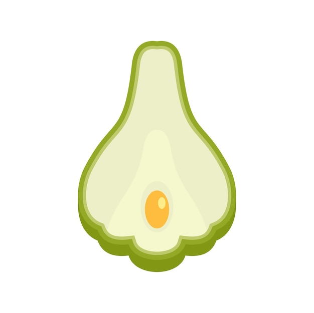 Vector chayote icon flat illustration of chayote vector icon isolated on white background