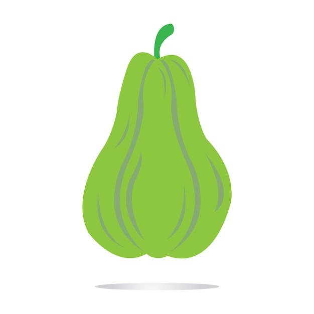 Vector chayote icon logo vector design template