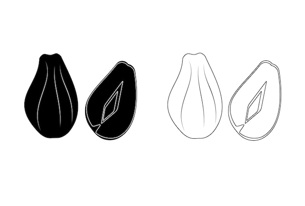 Vector chayote vector style black and white