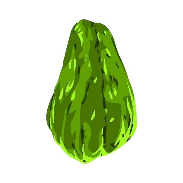 Vector chayote vectorontwerp