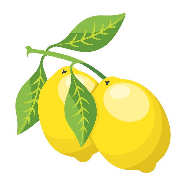 Check flat illustration of lime