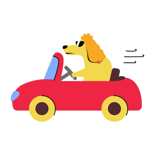 犬の運転のフラットなイラストをチェックしてください