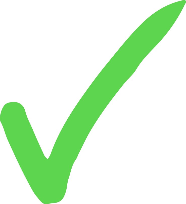 Vector checklist mark icon