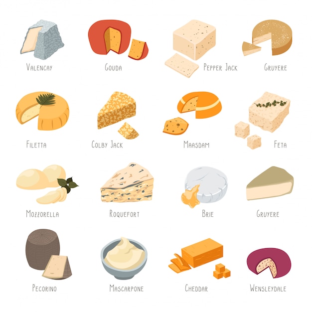 Vector cheee types collection, dairy products set of food