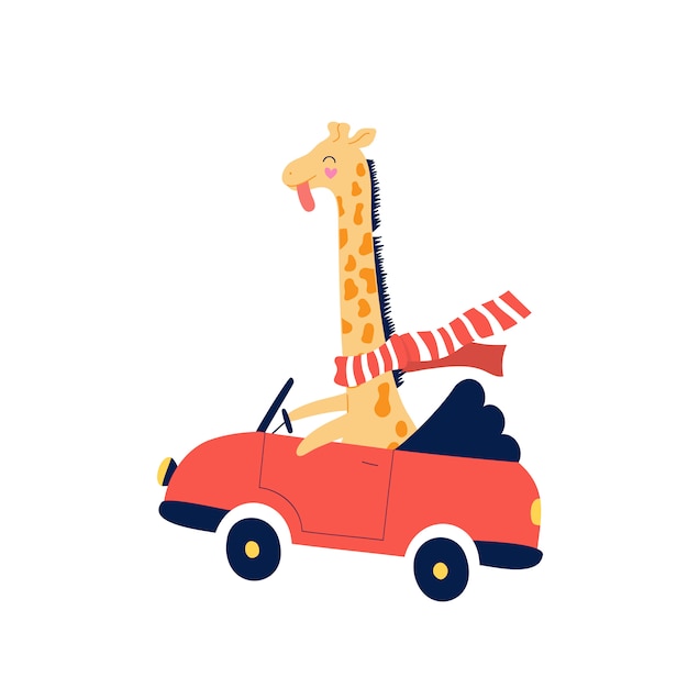 Vector cheerful yellow giraffe is racing in a red car.