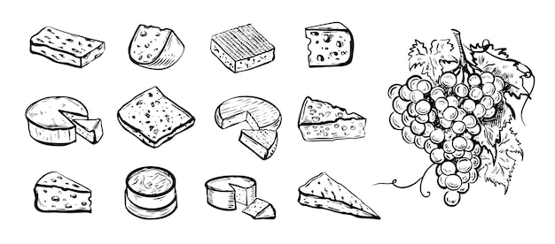 Vector cheese collection hand drawn illustration