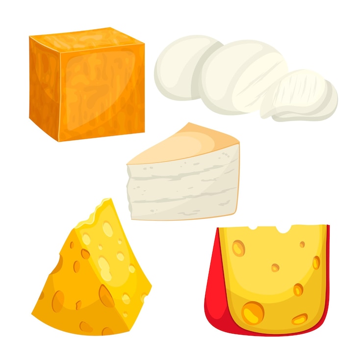 Vector cheese dairy set cartoon vector illustration