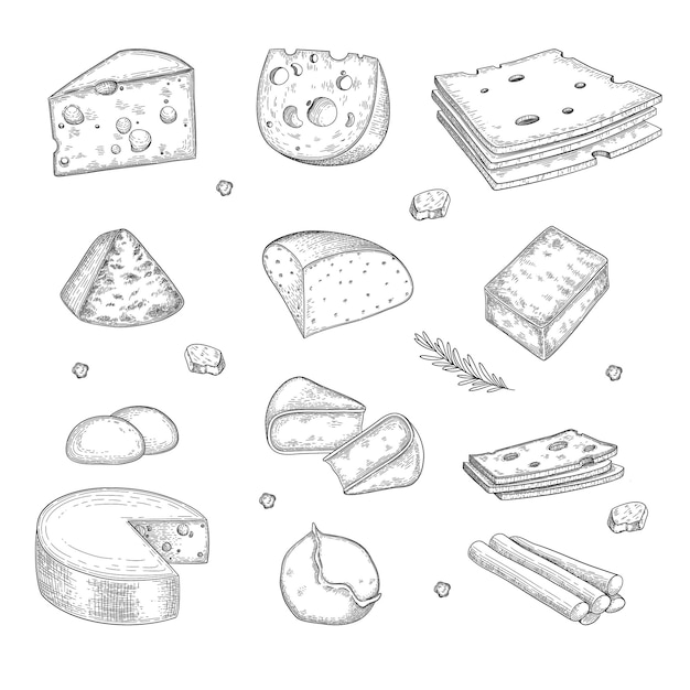 チーズ手描き。ミルクファームおいしいオーガニック健康製品グルメ料理スライスチーズベクトルコレクション。イラストチーズの材料、おいしい乳製品、ヘルシーな朝食