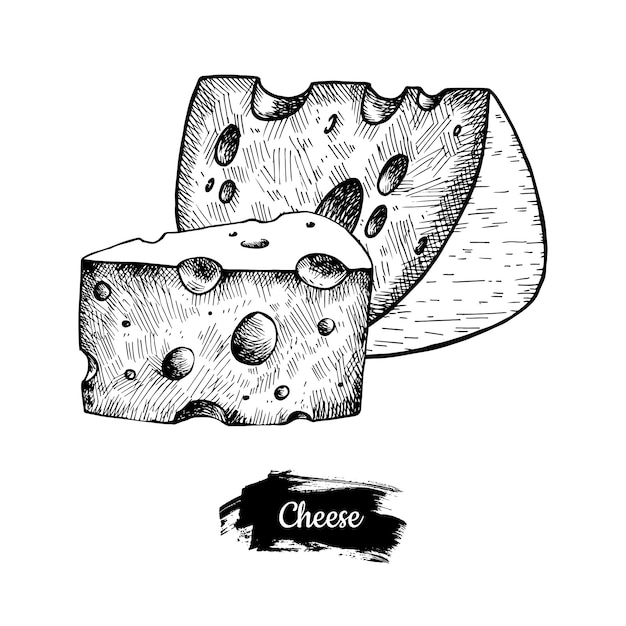 Cheese hand drawn.