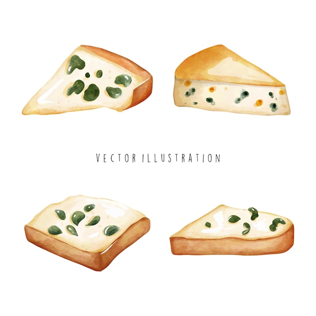 Vector cheese and milk watercolor illusration